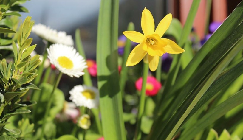 Lázeňský hotel Jirásek Konstantinovy Lázně